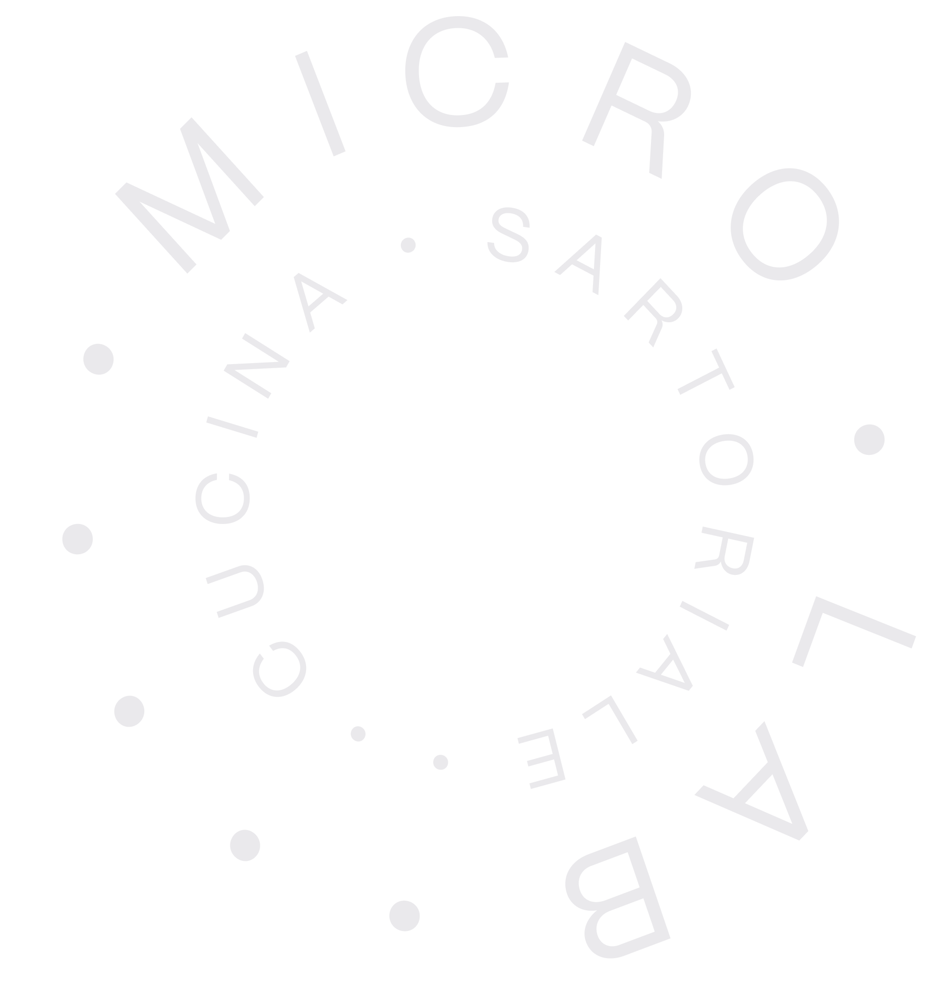 Logo MicroLab